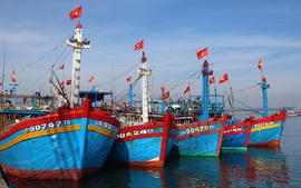 Rà soát, kiểm tra chất lượng tàu cá đóng theo Nghị định 67